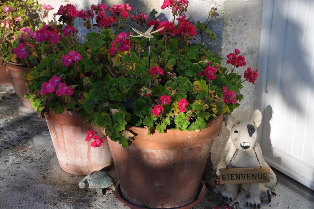 Bed and Breakfast La Maison De Rose Brossac Exterior foto